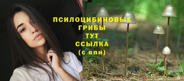 эйфоретик Новозыбков