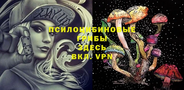 эйфоретик Новозыбков