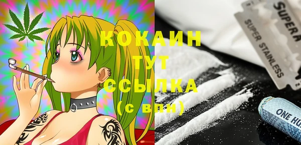 эйфоретик Новозыбков
