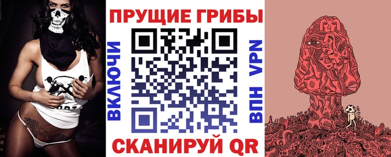 Галлюциногенные грибы GOLDEN TEACHER цена наркотик OMG ТОР Кораблино